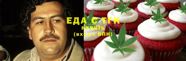 индика Арсеньев