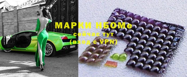 индика Арсеньев