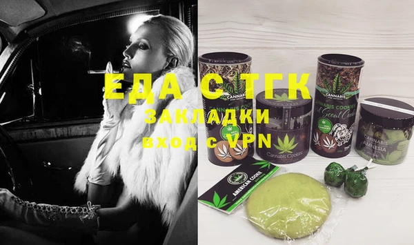 индика Арсеньев